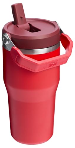 Stanley IceFlow Flip Straw Tumbler with Handle 30 oz | Twist On Lid and Flip Up Straw | Leak Resistant Water Bottle | Insulated Stainless Steel |BPA-Free | Lilac