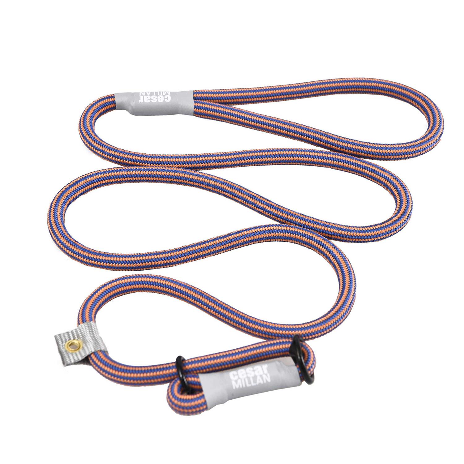 Cesar Millan Slip Lead Leash 2-in-1 Slip Collar Dog Training Lead & Collar - Pet Supplies online store