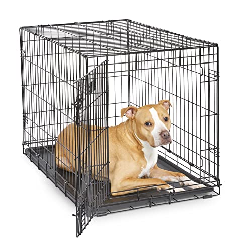 MidWest Homes for Pets Newly Enhanced Single & Double Door iCrate Dog Crate, Includes Leak-Proof Pan, Floor Protecting Feet, Divider Panel & New Patented Features