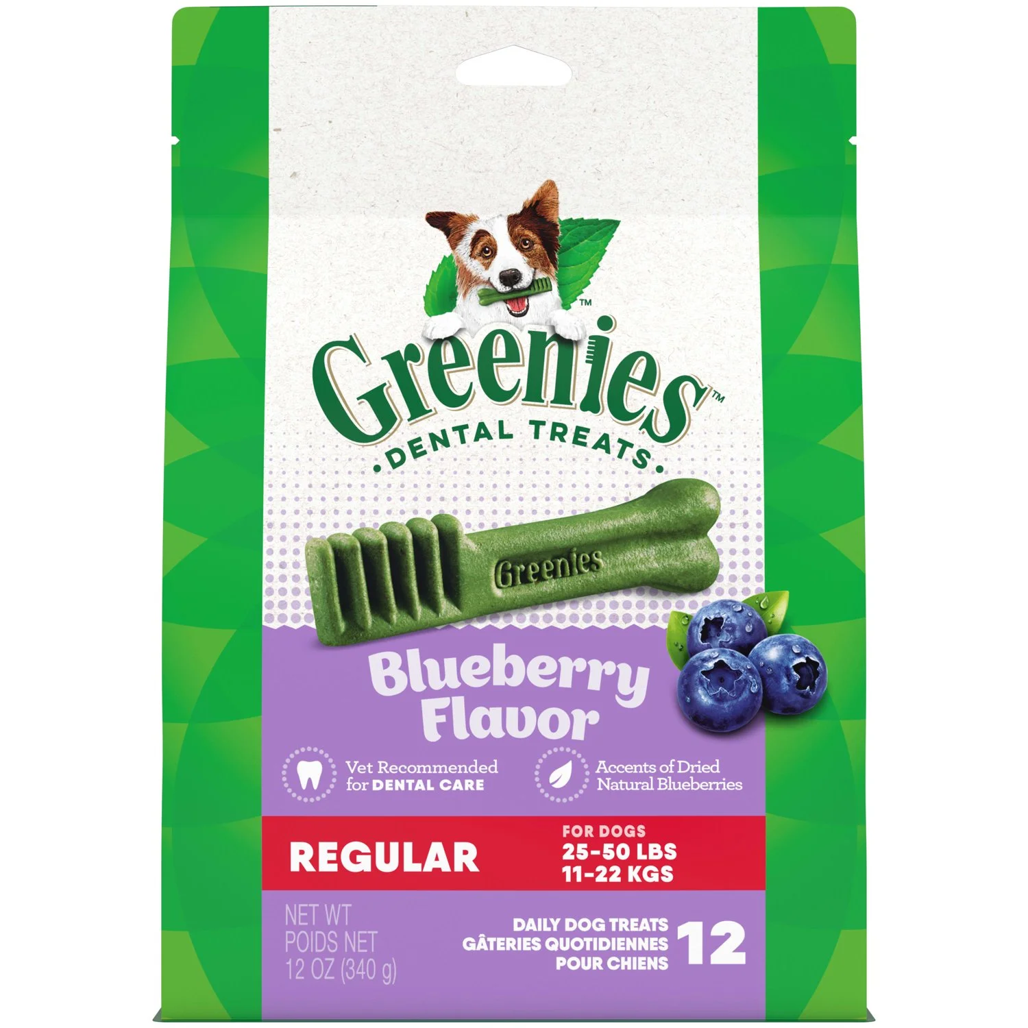 Greenies Blueberry Flavor Dental Treats for Dogs, 12 oz Pouch