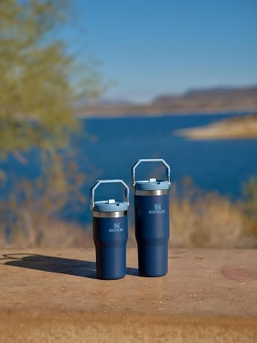 Stanley IceFlow Flip Straw Tumbler with Handle 30 oz | Twist On Lid and Flip Up Straw | Leak Resistant Water Bottle | Insulated Stainless Steel |BPA-Free | Lilac