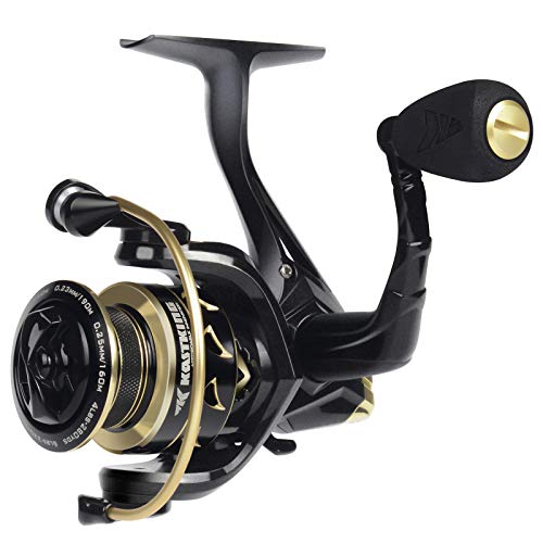 KastKing Valiant Eagle Gold Spinning Reel - 6.2:1 High-Speed Gear Ratio, Freshwater and Saltwater Fishing Reel, Faster Line Retrieve, Braid Ready Spool, 7+1 Shielded Stainless Steel Ball Bearings