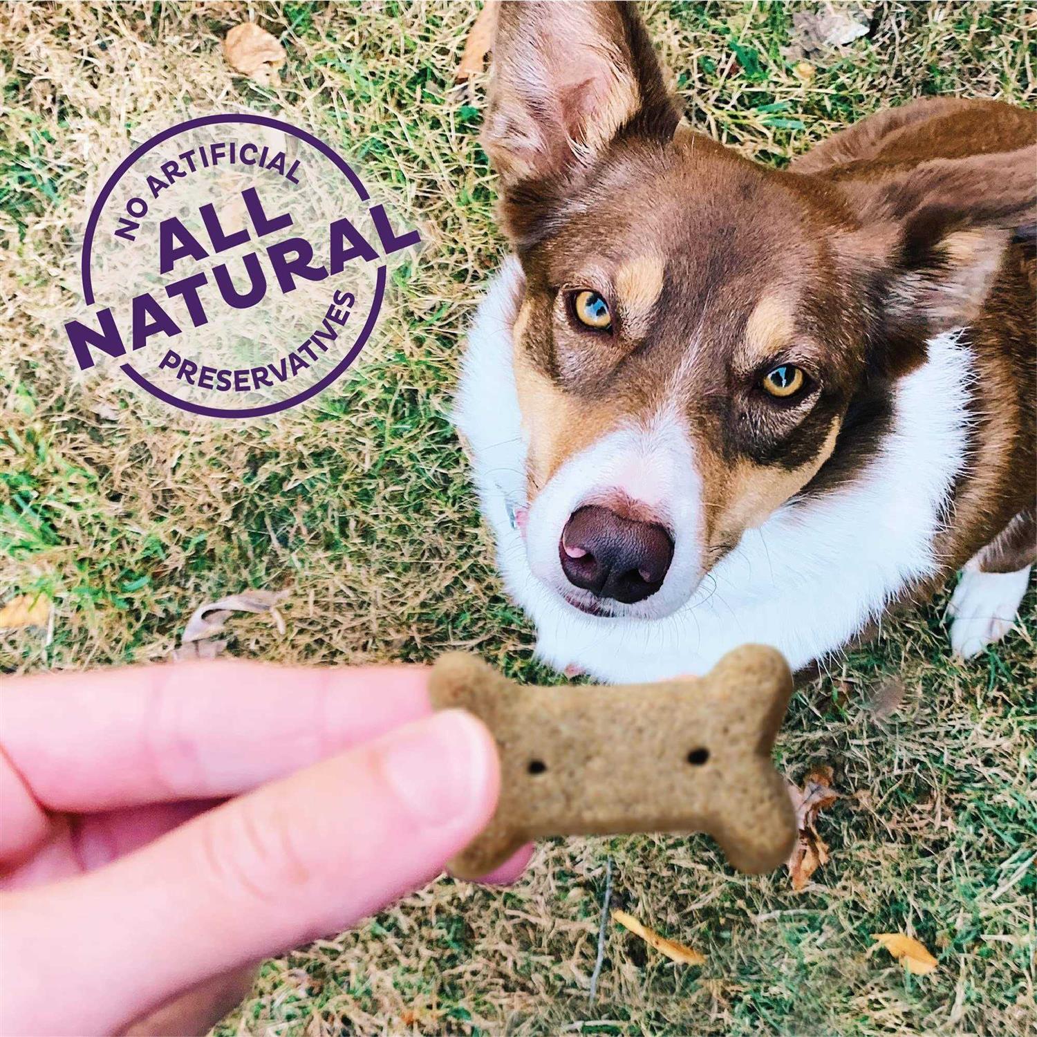 Old Mother Hubbard Crunchy Classic Natural Original Dog Biscuits Small - Pet Supplies online store