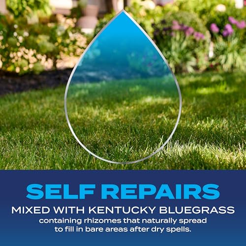 Scotts Grass Seed Drought Tolerant Mix, Kentucky Bluegrass and Tall Fescue Grass Seed Mix, Covers up to 2,000 sq. ft., 4 lb.