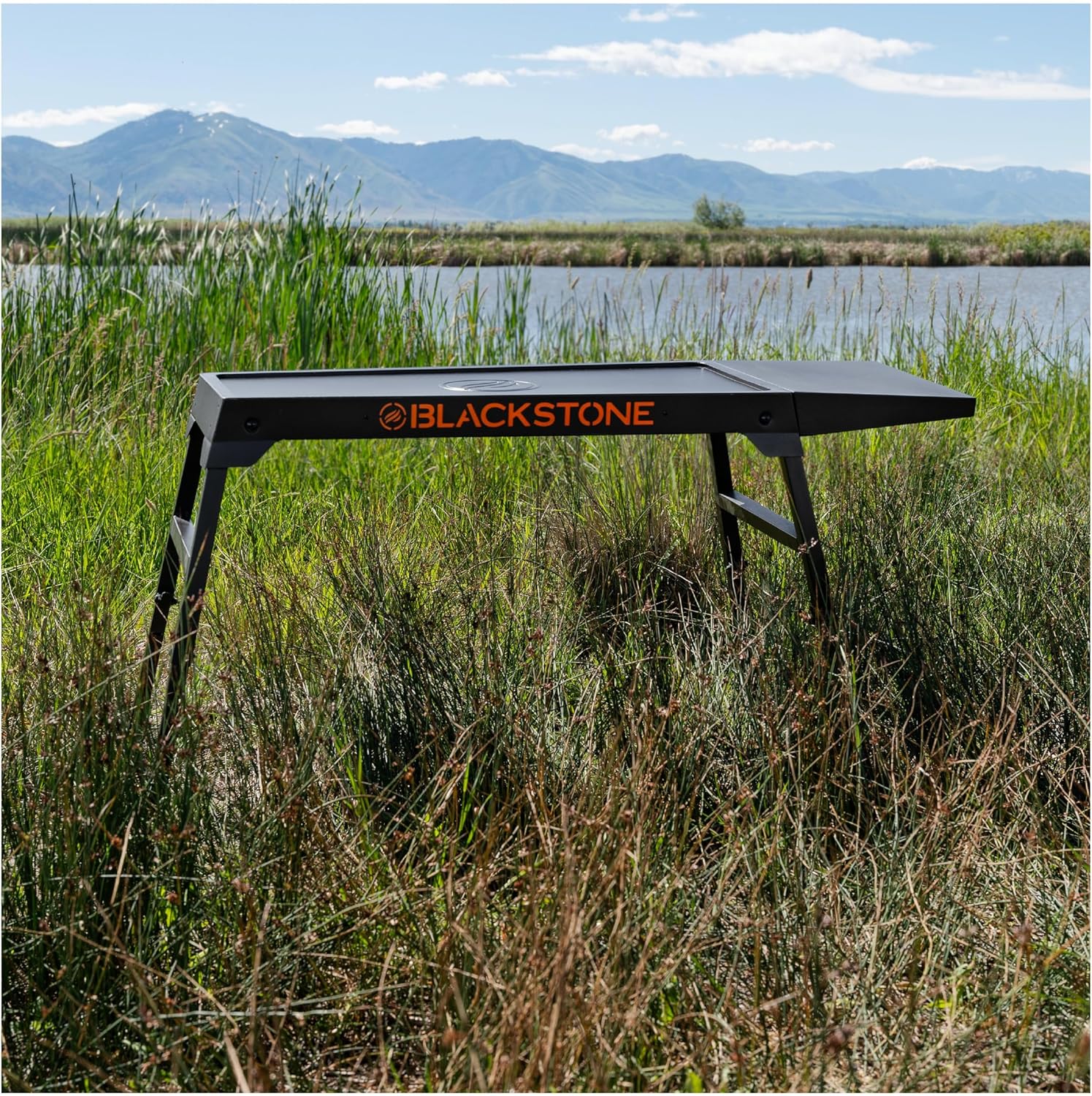 Blackstone 5477 On-The-Go XL 17