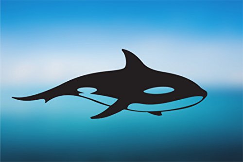 AK Wall Art Orca Vinyl Decal - Select Size
