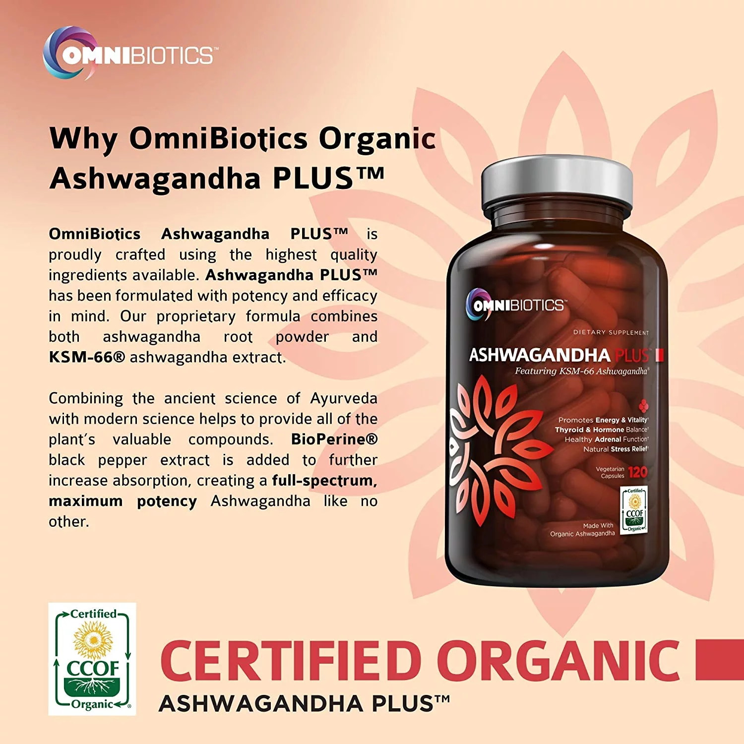 Organic Ashwagandha Supplement 1300 mg with KSM-66 Extract by OmniBiotics - 120 Vegan Capsules