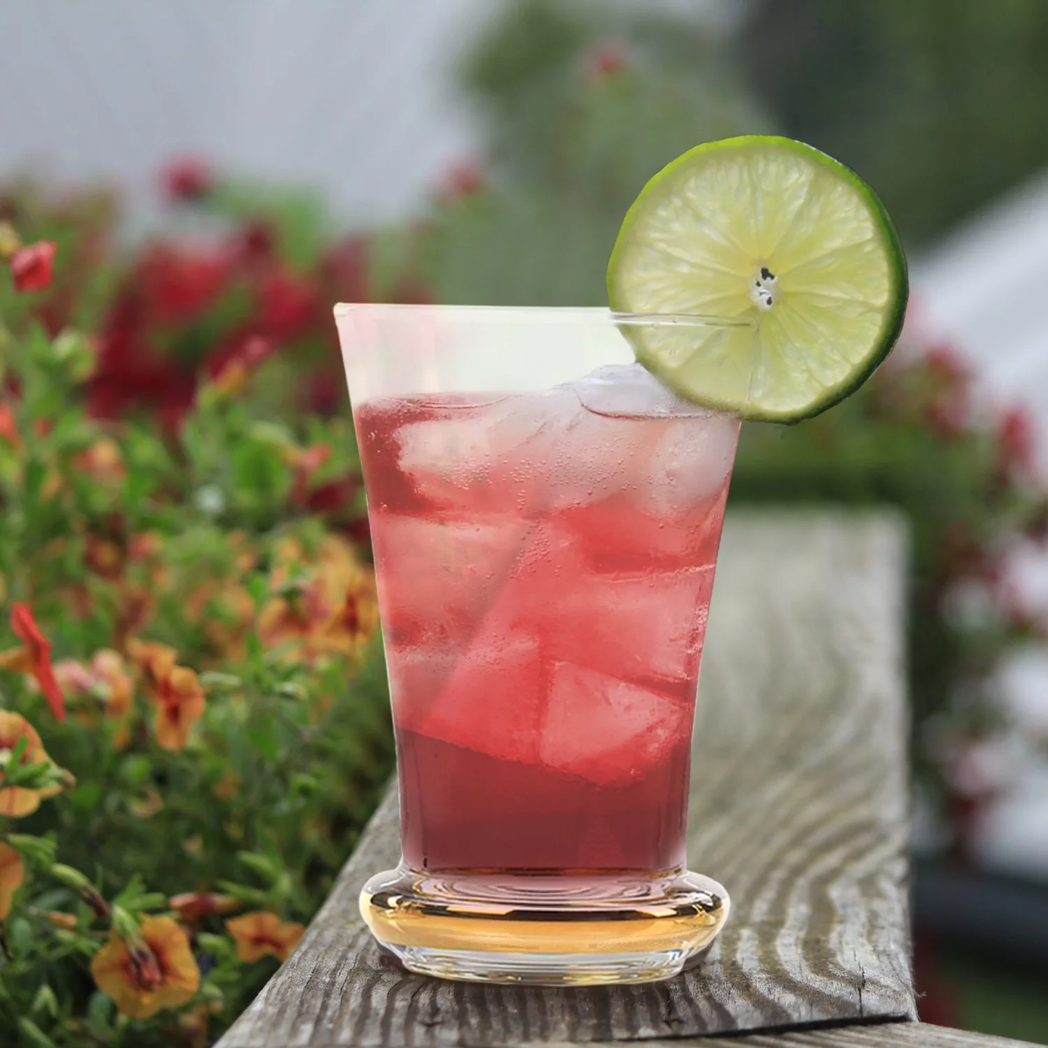 Pop Culture Promotions ® Carla Highball Drinking Glasses- Set of 6