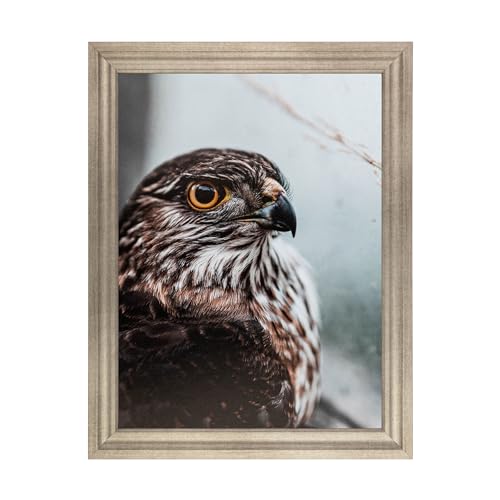 ArtToFrames 9x12 inch Muted Prosecco Gold Picture Frame, WOMBW275-1622-9x12