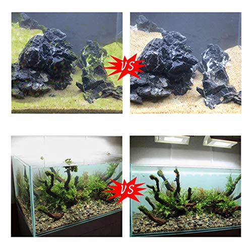 Down Jacket Stain and Tank Quickly 100ml Remover The Stain Cleaning Supplies Piling