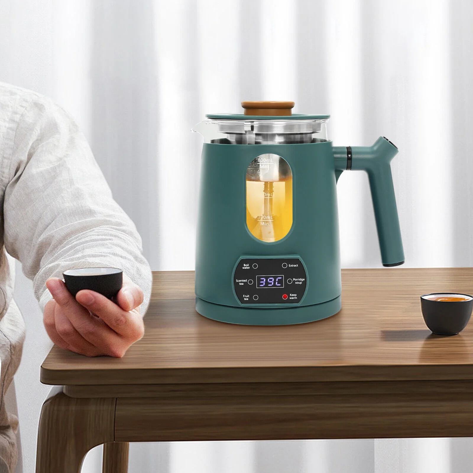 Stainless Steel Electric Water Kettles Tea Coffee Pot Water Boiler & Heater 600W Green