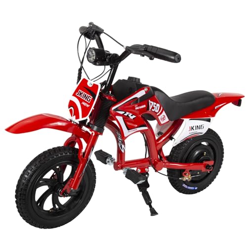 Kids Motorcycle,C6 Kids Electric Dirt Bike,Electric Motorcycle for Kids12-inch 300W brushless Motor,3-Speed LCD Display,10 MPH Top Speed,LED Brushless Controller + Moto Sound，8 Miles Range,Orange