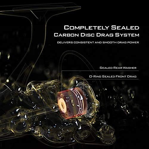 KastKing Valiant Eagle Gold Spinning Reel - 6.2:1 High-Speed Gear Ratio, Freshwater and Saltwater Fishing Reel, Faster Line Retrieve, Braid Ready Spool, 7+1 Shielded Stainless Steel Ball Bearings