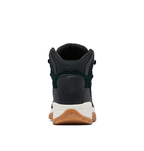 Columbia Women's Newton Ridge Plus Waterproof Amped Hiking Boot