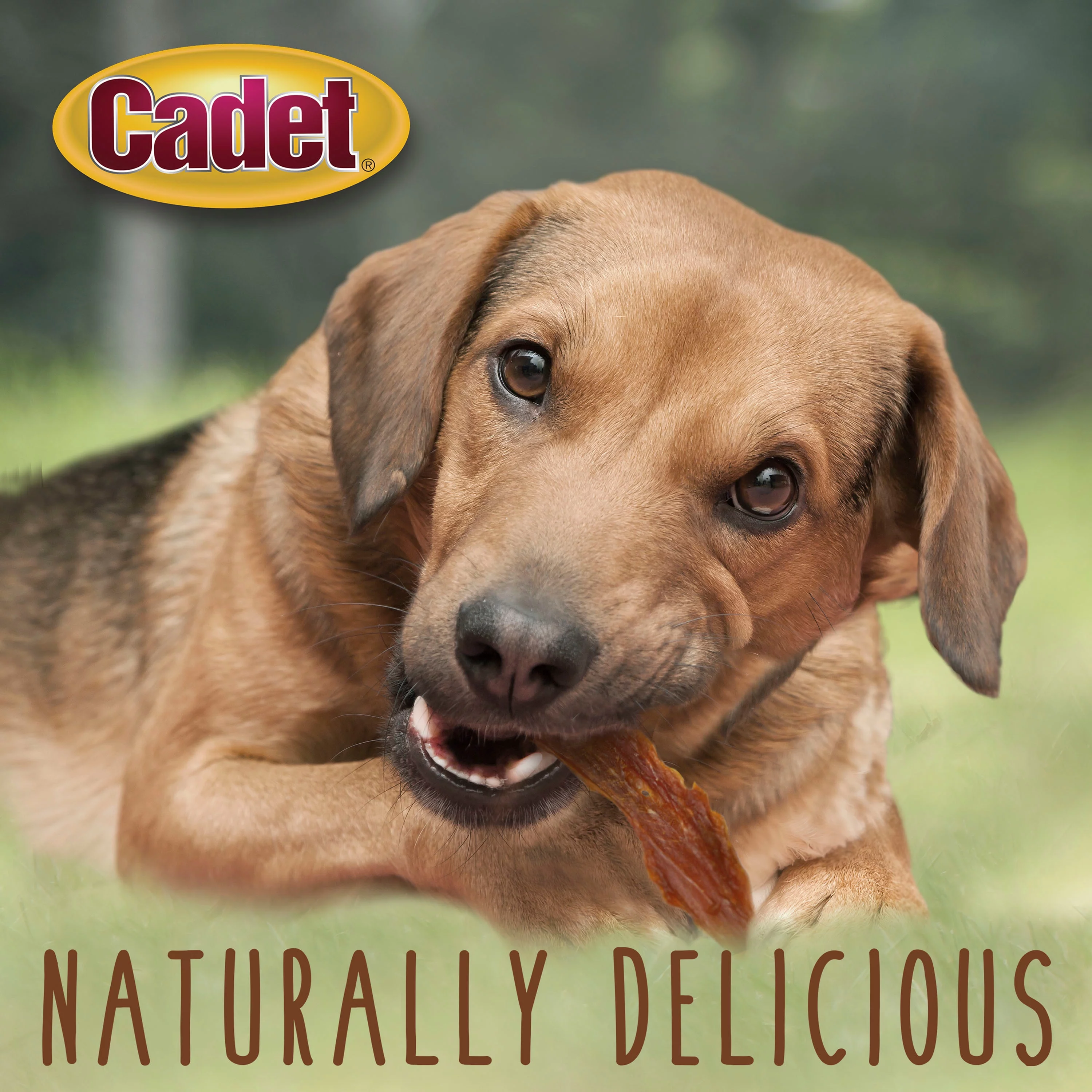 Cadet Gourmet Duck Breast Dog Treats 14 oz. (1 Count)