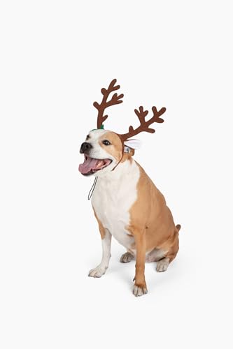 Midlee Brown Reindeer Dog Antlers Headband Pet Christmas Costume - Large