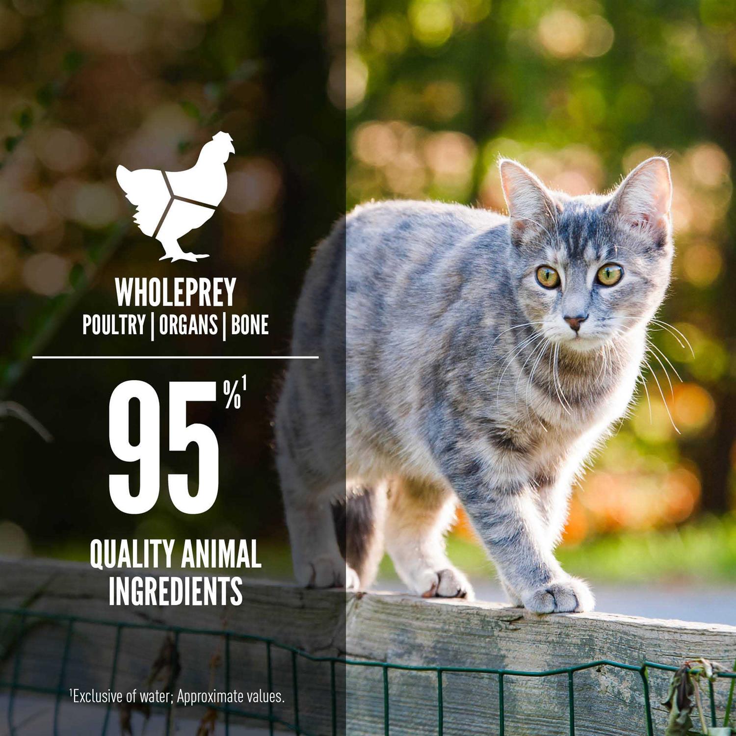 Orijen Entree in Bone Broth Wet Cat Food - Pet Supplies online store