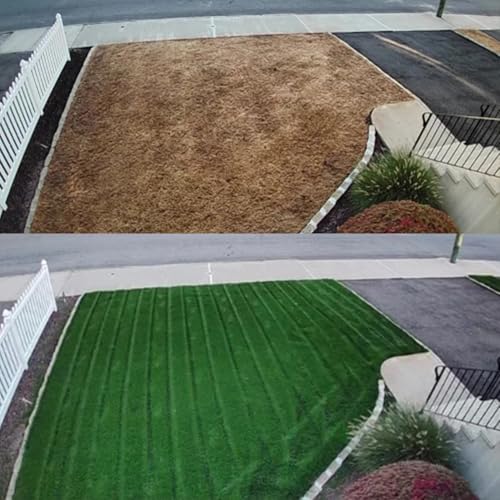 NightShift (Formerly Blackout) Turf Type Tall Fescue Grass Seed (10 lbs)