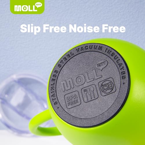 Tumbler with Lid and Straw-12 oz Stainless Steel Double Wall Vacuum Insulated Tumbler Cup with Handle (Canyon Red-Sky Blue)