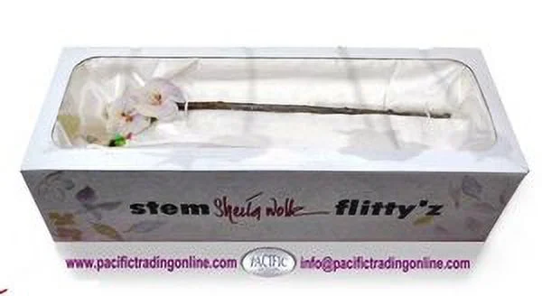 Bird of Paradise with Fairy Flitty Statue Figurine in Window Gift Box