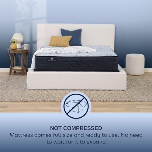 Serta Perfect Sleeper Ultimate 15