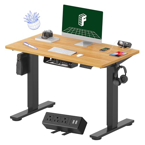 FLEXISPOT EN2 Whole-Piece Standing Desk with Clamp Power Strip, 55 x 28” Electric Stand Up Height Adjustable Desk with Cable Management (Black Frame + 55