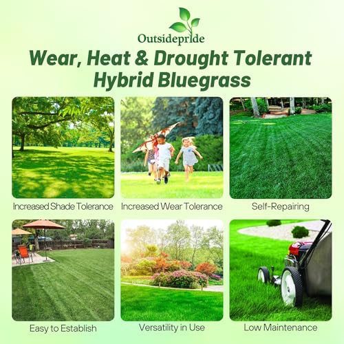Outsidepride 5 lb. SPF-30 Heat & Drought Tolerant Hybrid Bluegrass Lawn Grass Seed