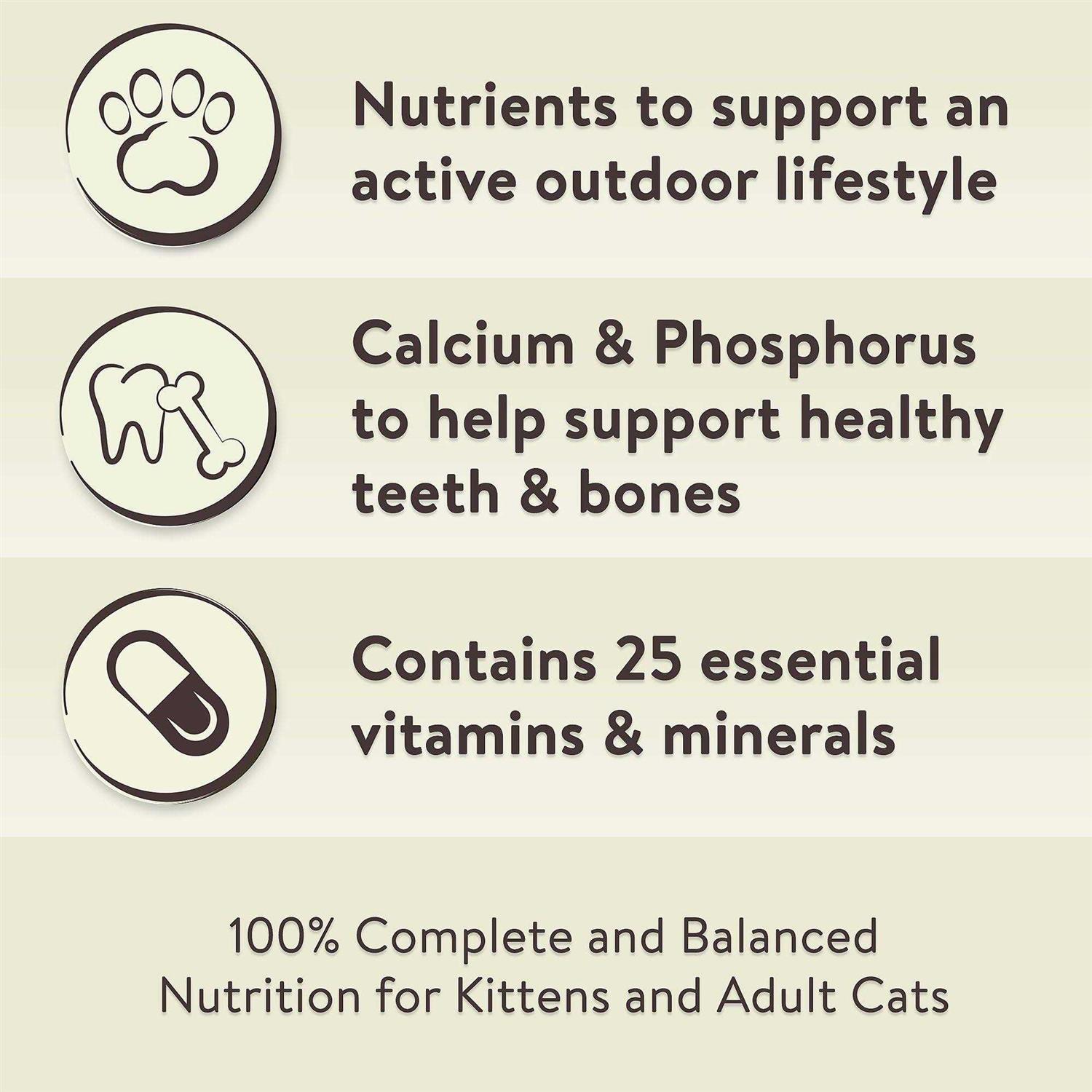 Special Kitty Outdoor Formula Dry Cat Food - Pet Supplies online store
