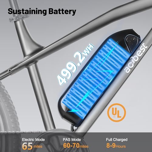 Race Electric Bike for Adults 27.5