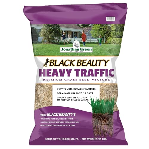 Jonathan Green (10980) Black Beauty Heavy Traffic Grass Seed - Cool Season Lawn Seed (25 lb)