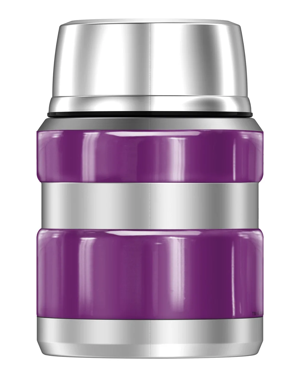 Looney Tunes Tweety Bird Pose, THERMOS STAINLESS KING Stainless Steel Food Jar with Folding Spoon, Vacuum insulated & Double Wall, 16oz