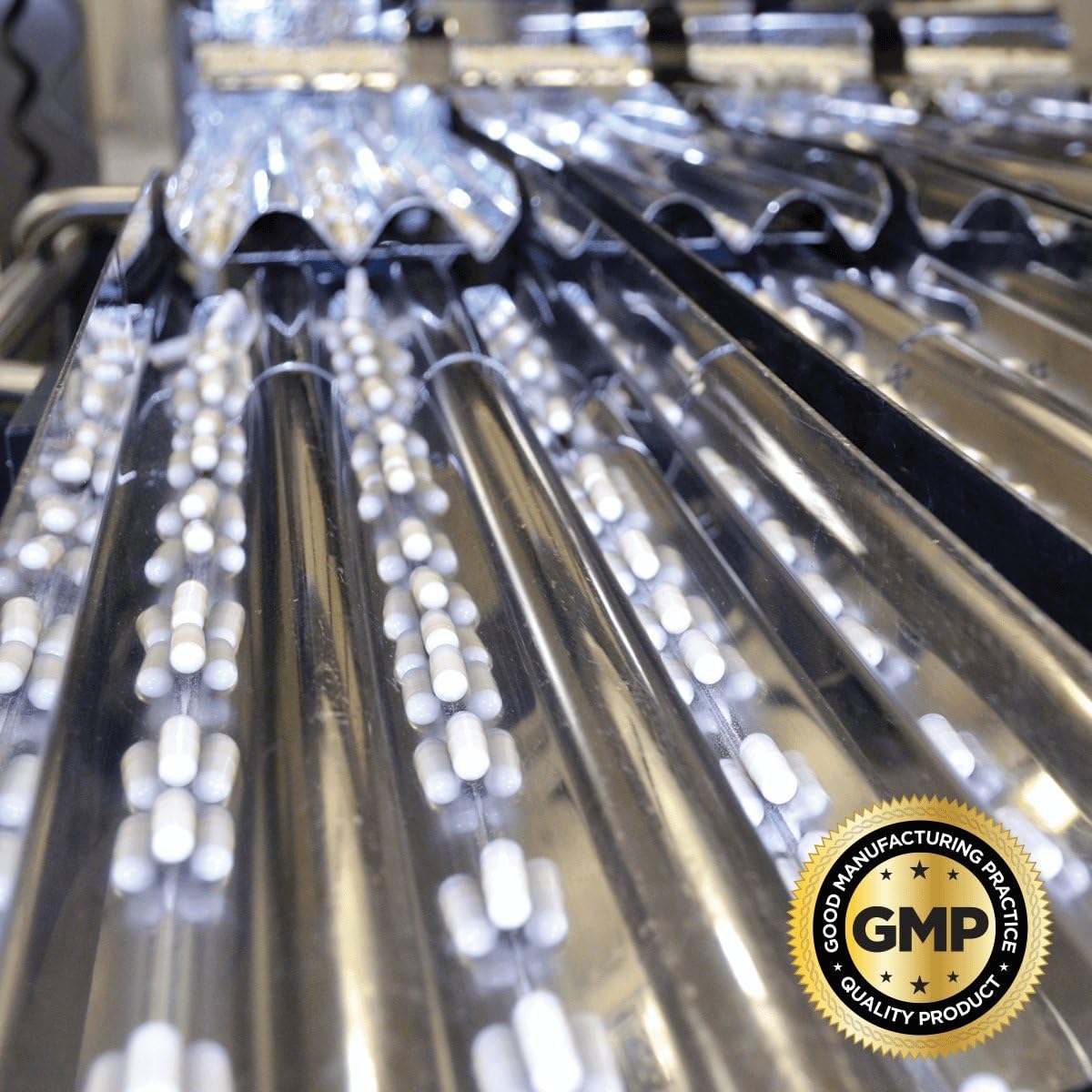 Swanson Sunflower Lecithin Powder Non-GMO 16 Ounce