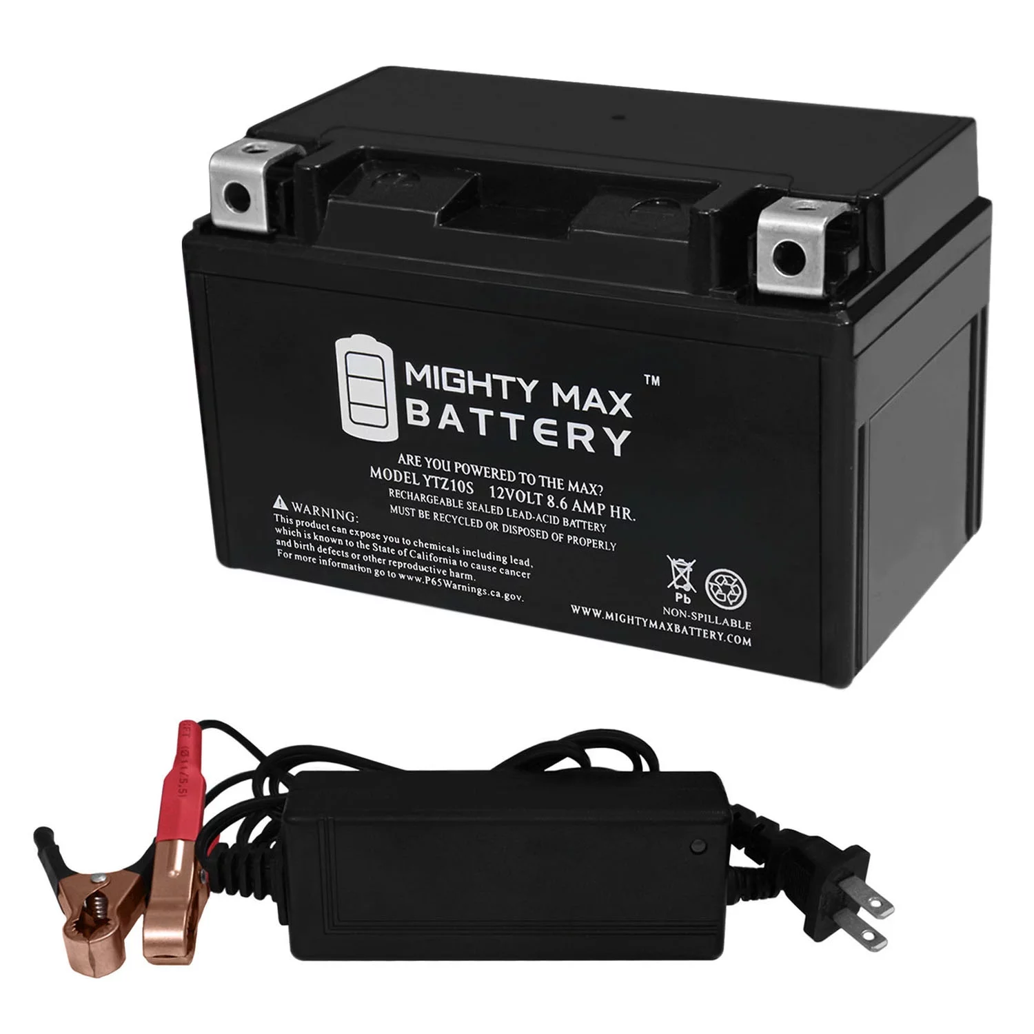 YTZ10S Battery Replaces Champion Exide YTZ10S + 12V 2Amp Charger