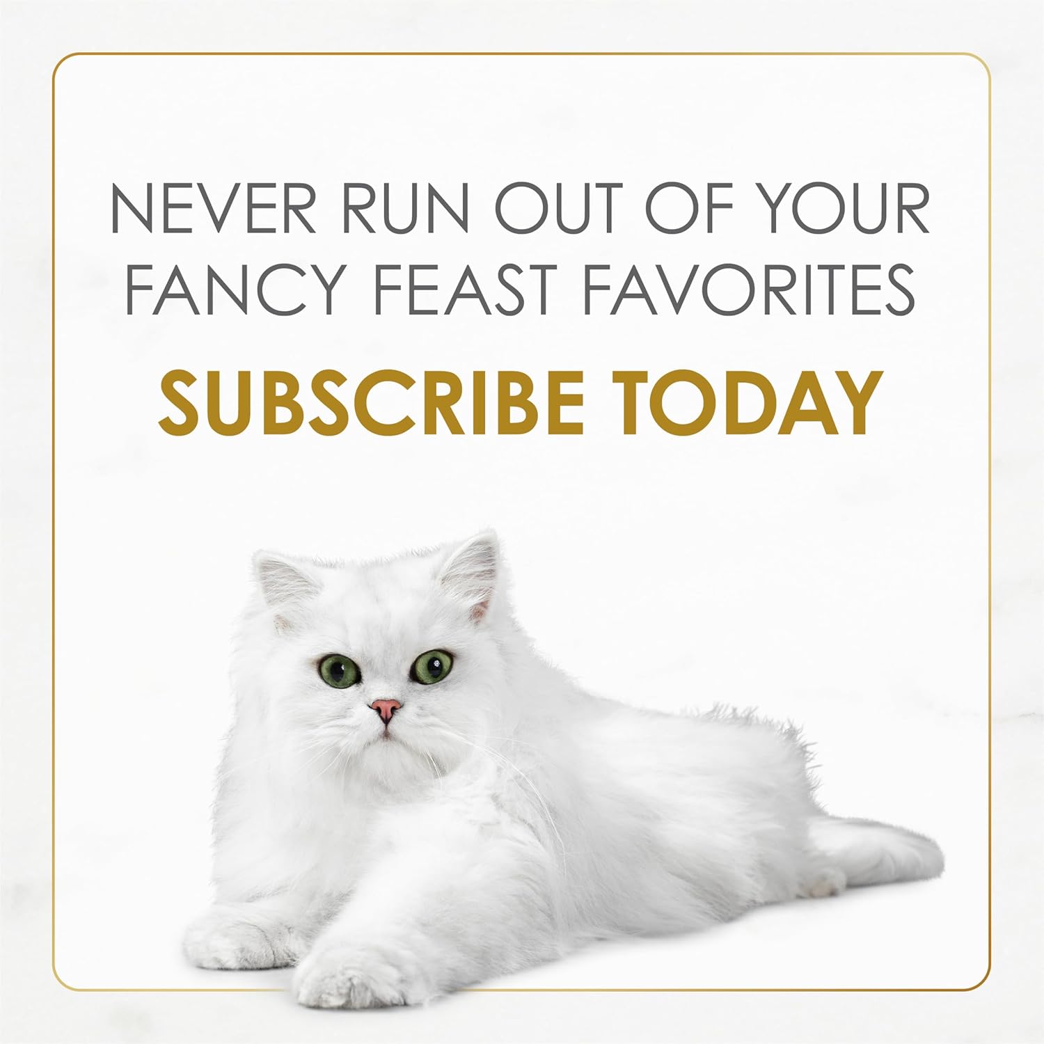 Purina Fancy Feast Gravy Lovers Chicken Feast in Gravy Gourmet Cat Food in Wet Cat Food Gravy - (Pack of 24) 3 oz. Cans