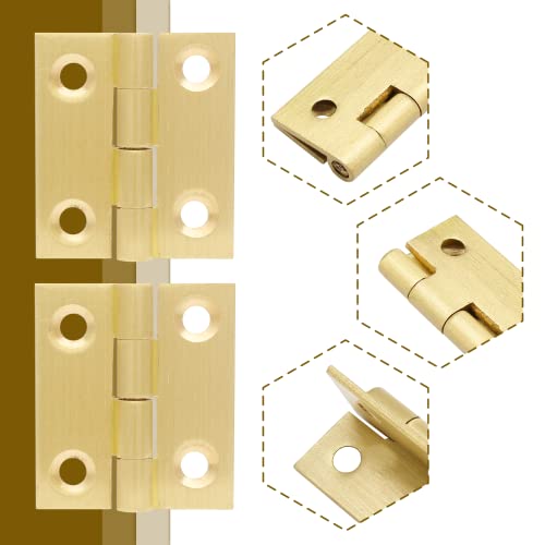 Suiwotin Brass Hinges