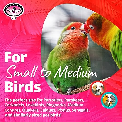 Super Bird Creations SB186 Vine Ball Candy Cane Bird Toy, Small/Medium Bird Size, 9