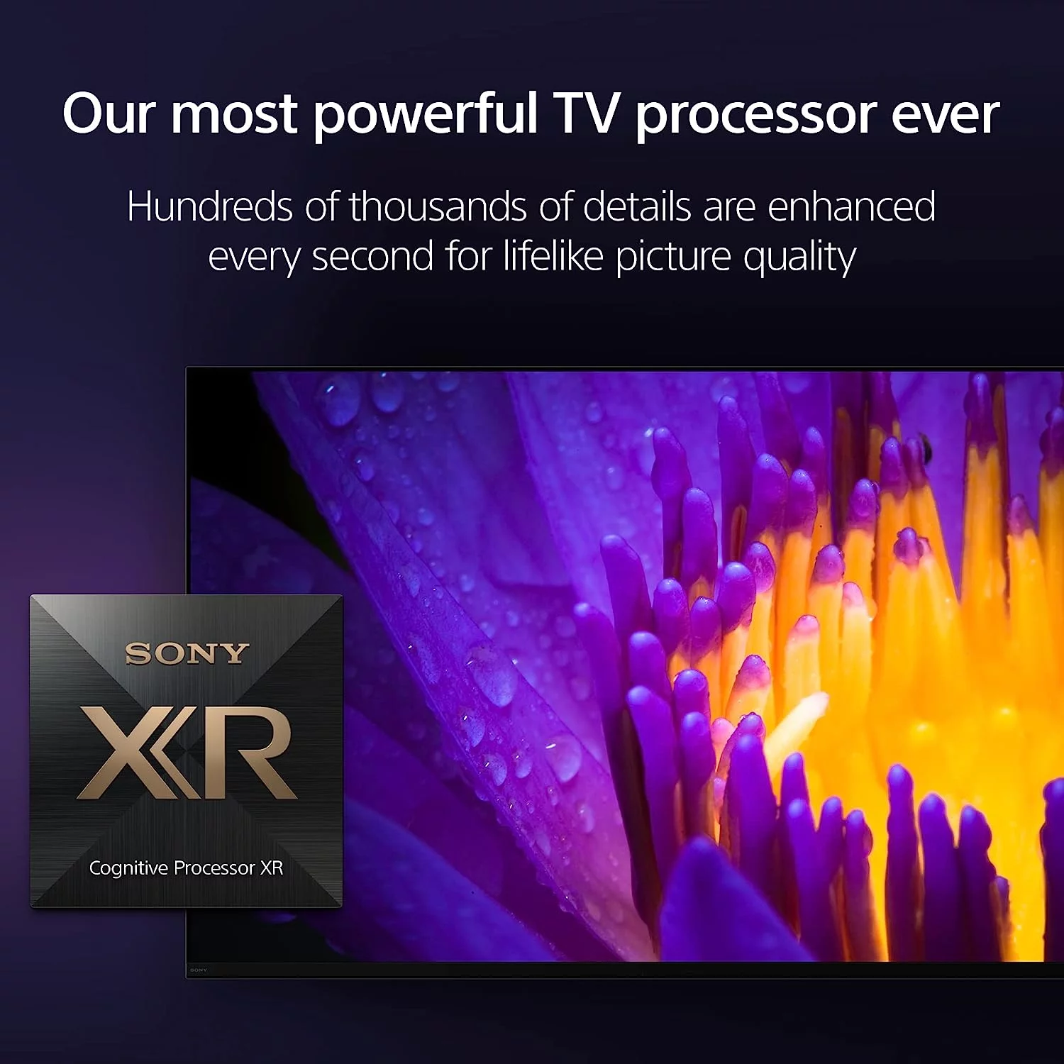 Sony XR65A80L 65 Inch 4K HDR OLED Smart Google TV with PS5 Features with an Additional 1 Year Coverage by Epic Protect (2023)