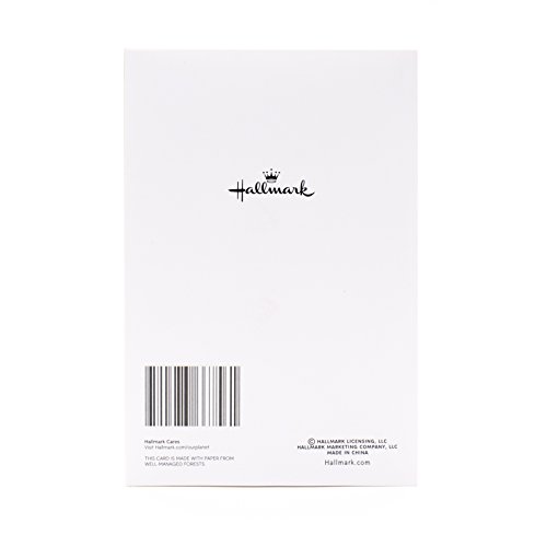 Hallmark Christmas Cards Boxed with Envelopes, Happy Holidays (40 Blue Holiday Cards)