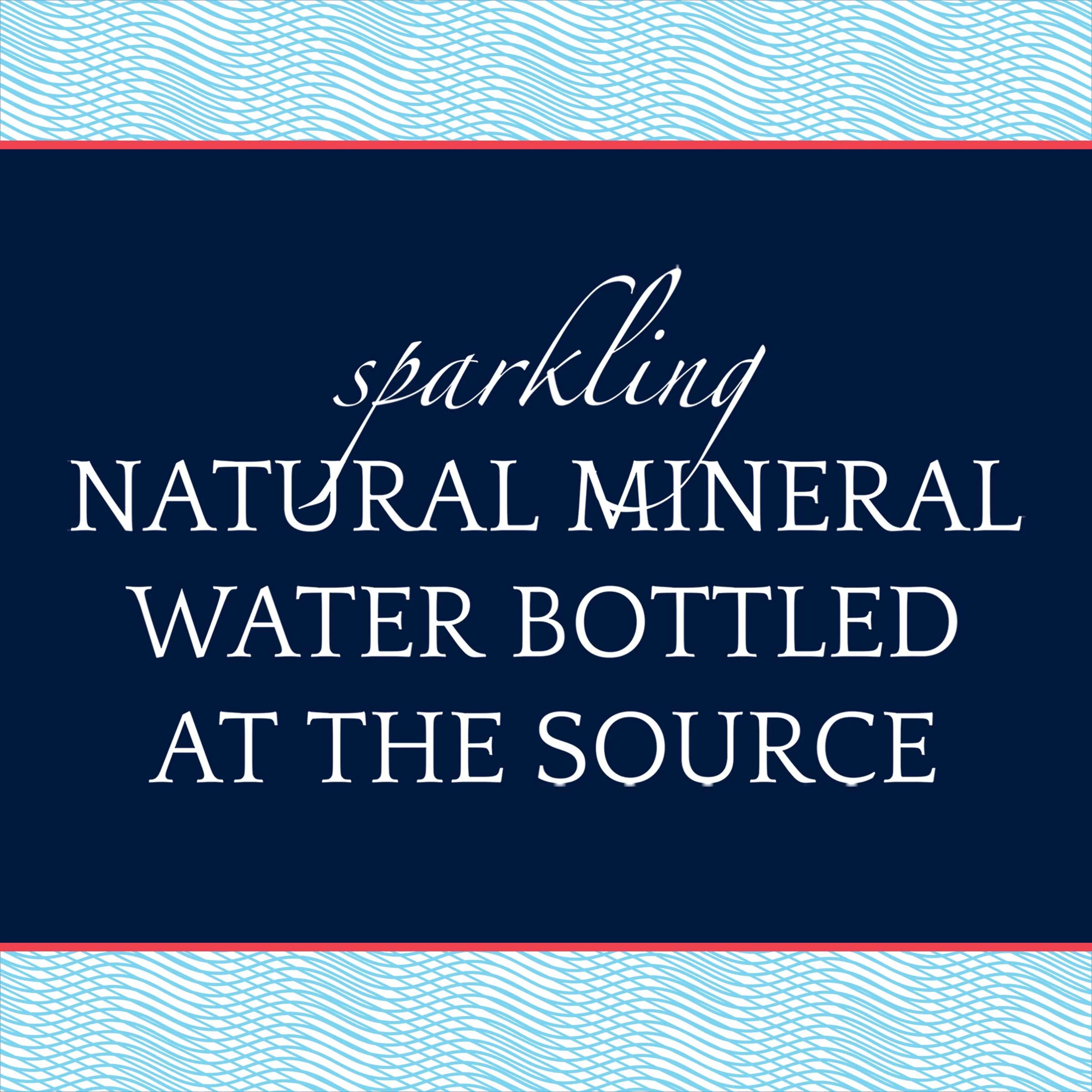 S.Pellegrino Sparkling Natural Mineral Water, 303.6 fl oz, 12 Pack Glass Bottles