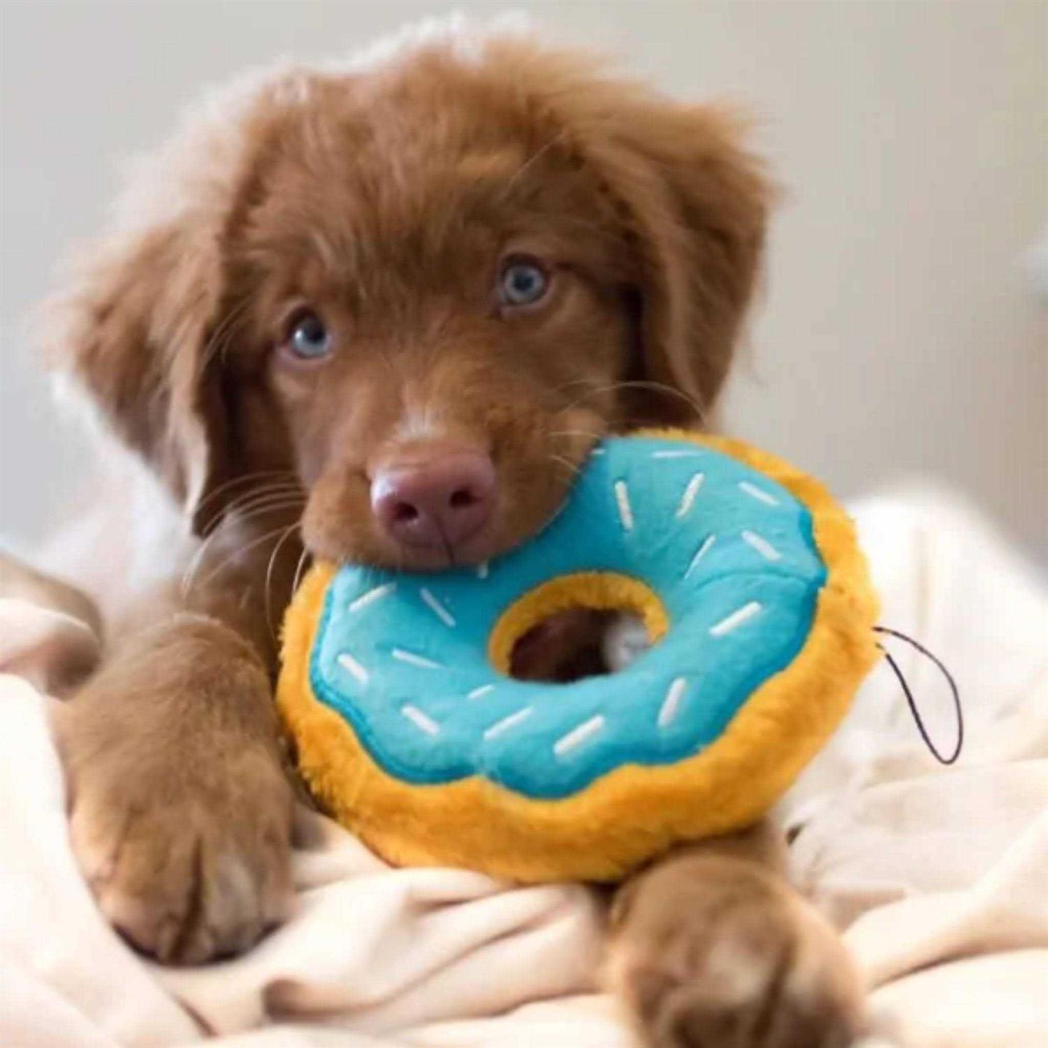 ZippyPaws Donutz Dog Toy - Pet Supplies online store