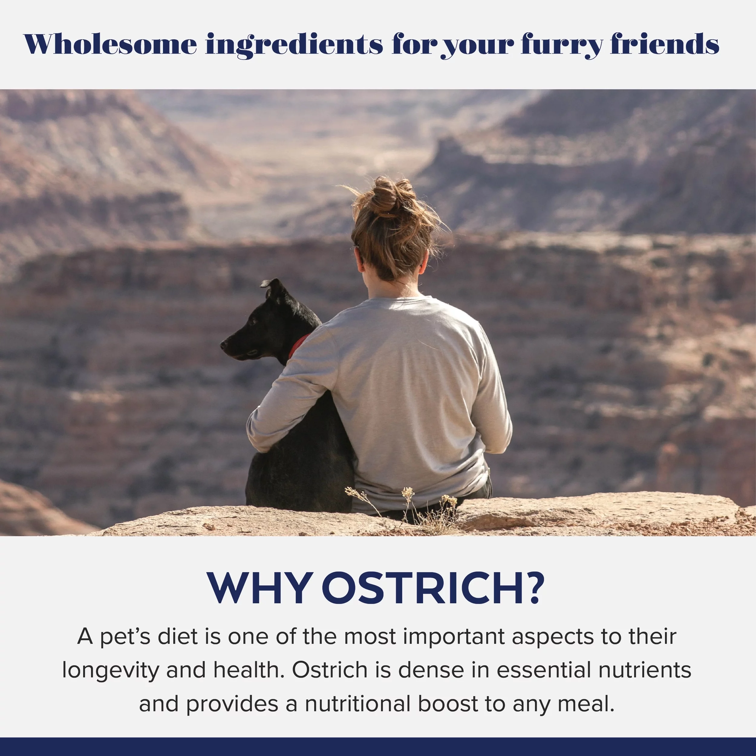 Freeze-Dried Steak Bites