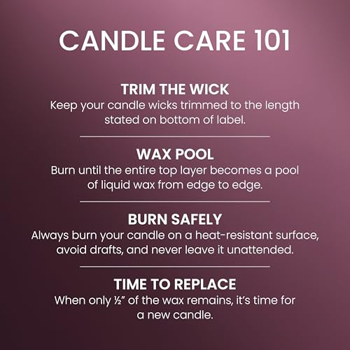 Yankee Candle Sparkling Cinnamon, Christmas Scented Candle, 22oz Large Jar with up to 150 Hour Burn Time, Giftable