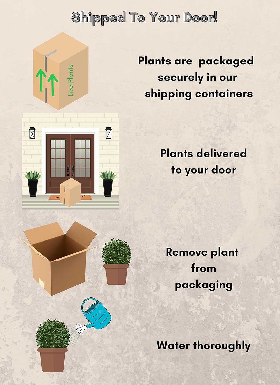 2 Gallon Proven Winners Hibiscus Paraplu Violet Shrub