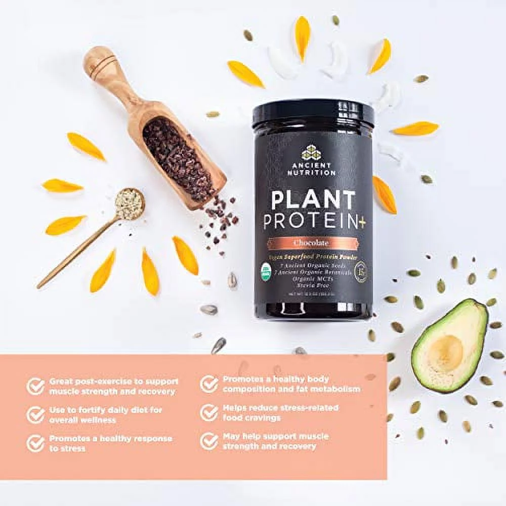 Ancient Nutrition Organic Plant Protein +, Vegan Plant Based Protein Powder, Chocolate, Formulated by Dr. Josh Axe, Dairy-Free, Gluten-Free, Non-GMO, No Sugar Added, Paleo Friendly Supplement 12.5 oz