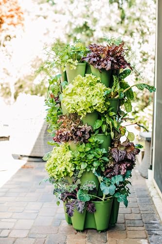 Greenstalk Patented Large 5 Tier Vertical Garden Planter with Patented Internal Watering System Great for Growing a Variety of Strawberries, Vegetables, Herbs, & Flowers (Stunning Stone)