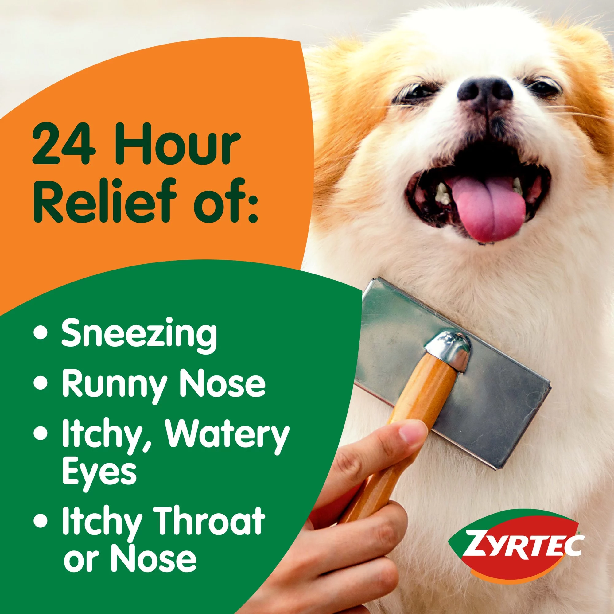 Zyrtec 24 Hour Allergy Relief Tablets, 30+10 Ct *EN
