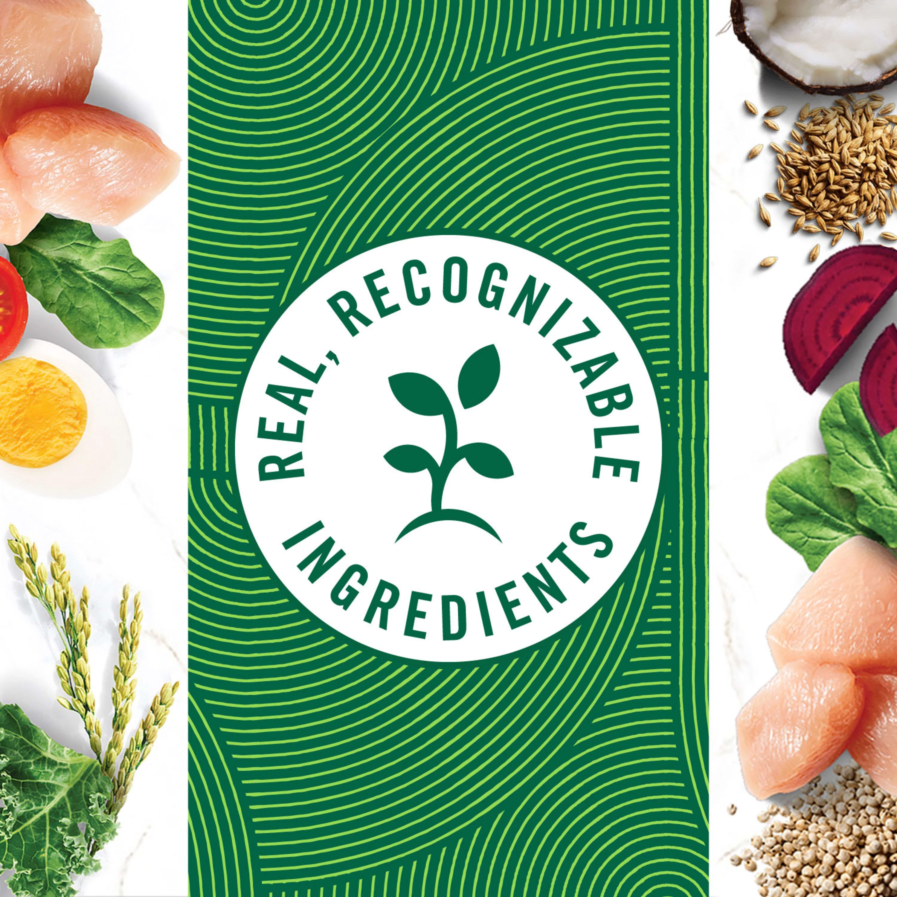 Nutro Wholesome Essentials Healthy Weight Farm-Raised Chicken, Rice & Sweet Potato Recipe Large Breed Adult Dry Dog Food 30 Pounds