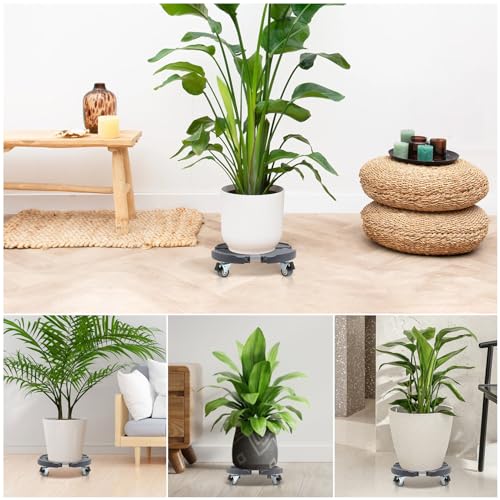 W B D WEIBIDA Plant Caddies with Wheels 2 Pack Heavy Duty Rolling Plant Stand Large Potted Plant Dolly Cart Garden Pot Mover