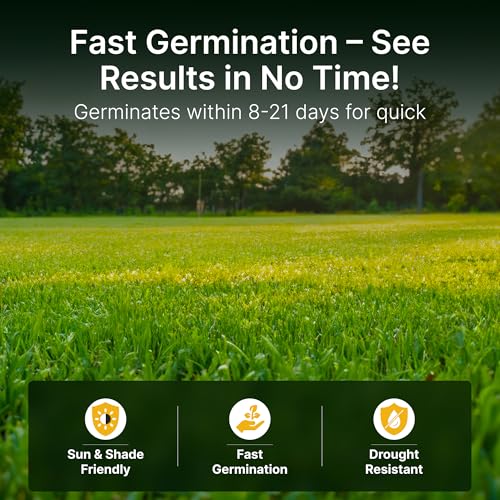 Sun and Shade Tall Fescue Grass Seed Mix, Drought Resistant, Thick Lawn, Fast Germination