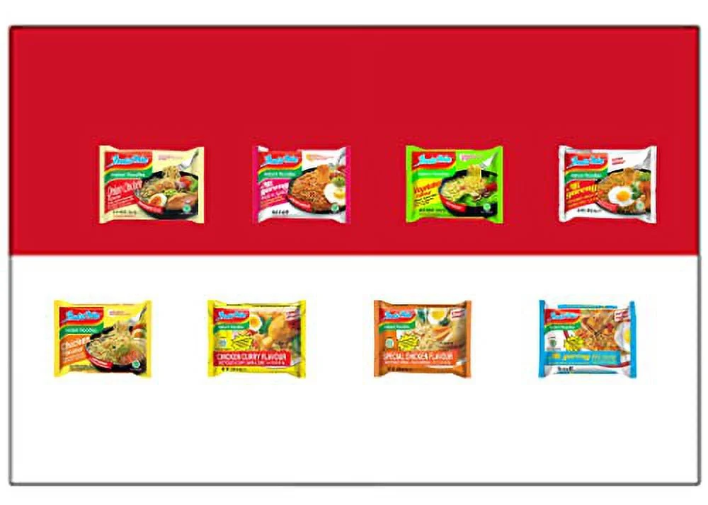 HCG Asian Ramen Noodle Variety Pack of 12 Instant Noodles and Chopsticks